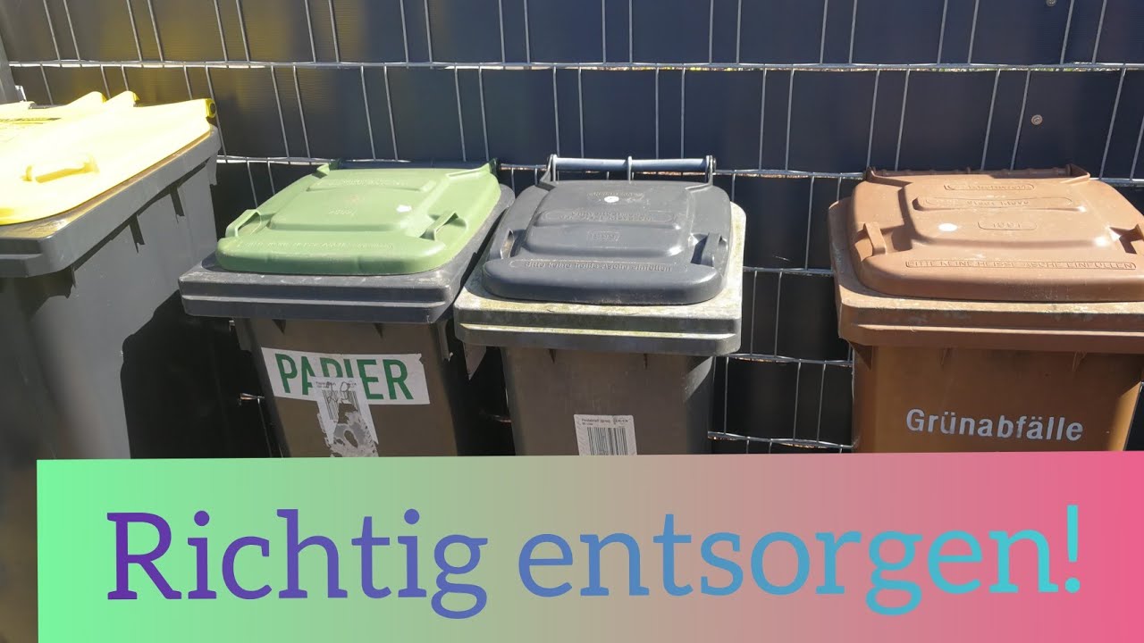 Graue Tonne Was Darf Rein Müll entsorgen In welche Tonne gehört was? Blaue, grüne, brauen, gelbe
