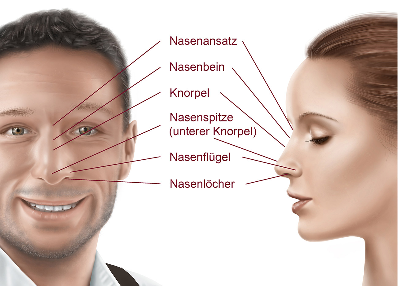 Nase Ohren Arzt In Der Nähe Nase skizzieren und zeichnen