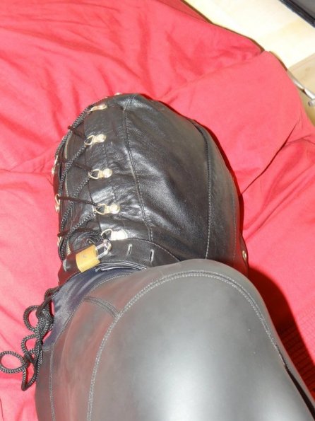 Hundetrainer Für Problemhunde In Der Nähe Neoprene sleepsack | Another mate in my neoprene sleepsack | Day's out