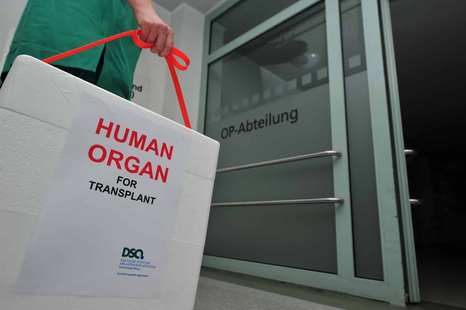 Organspende Pro Und Contra Tabelle Organspende. Das müssen Sie wissen - Regionalspiegel Sachsen