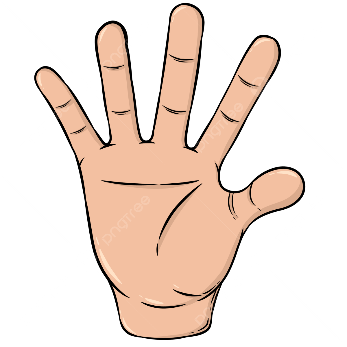 Hand Mund Fuß Nicht Mehr Ansteckend Palm Hand