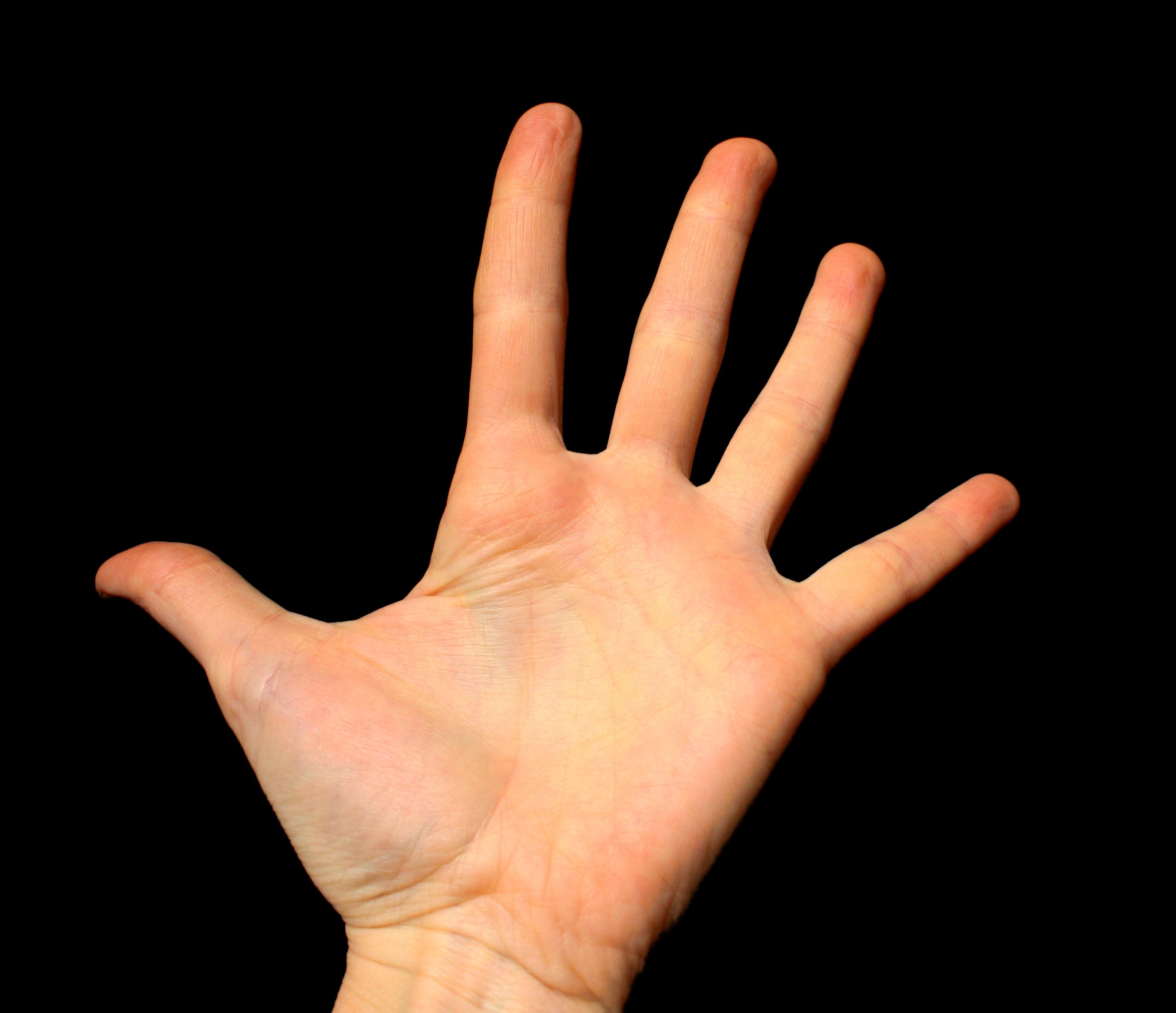 Hand Mund Fuß Ansteckend Erwachsene Palm Mounts: Parts of the Hand | Spiritual Cookie
