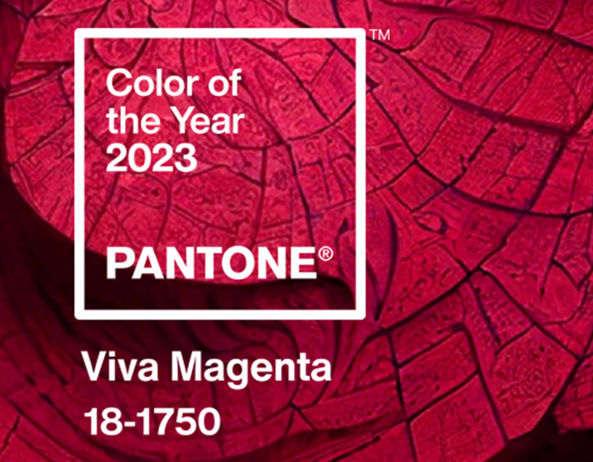 Welche Farbe Hat Die Restmülltonne Pantone – Farbe des Jahres 2023 - Sigmund Lindner GmbH