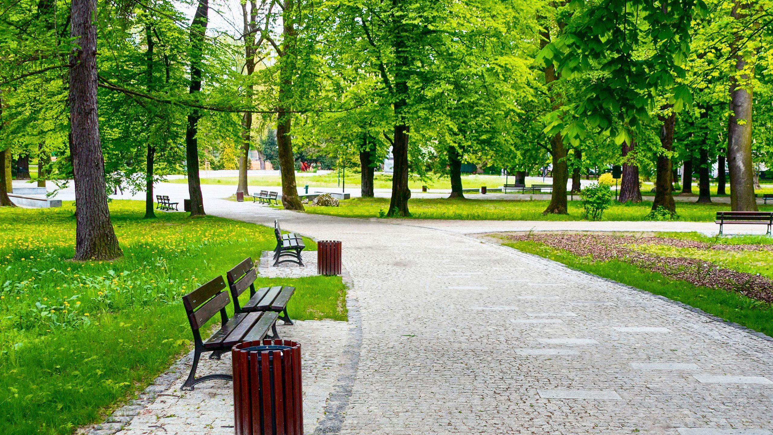 Park Apotheke In Haltern Am See