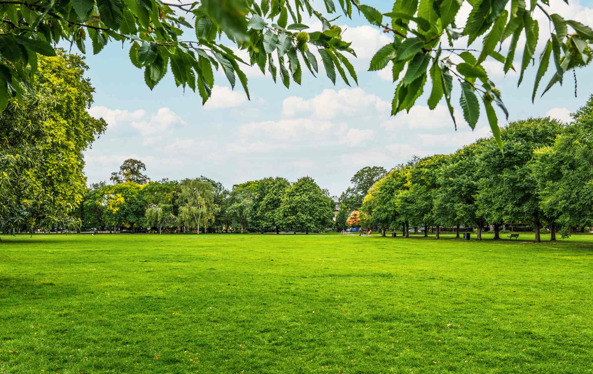 Park Apotheke In Haltern Am See Parks in West London | Horton and Garton