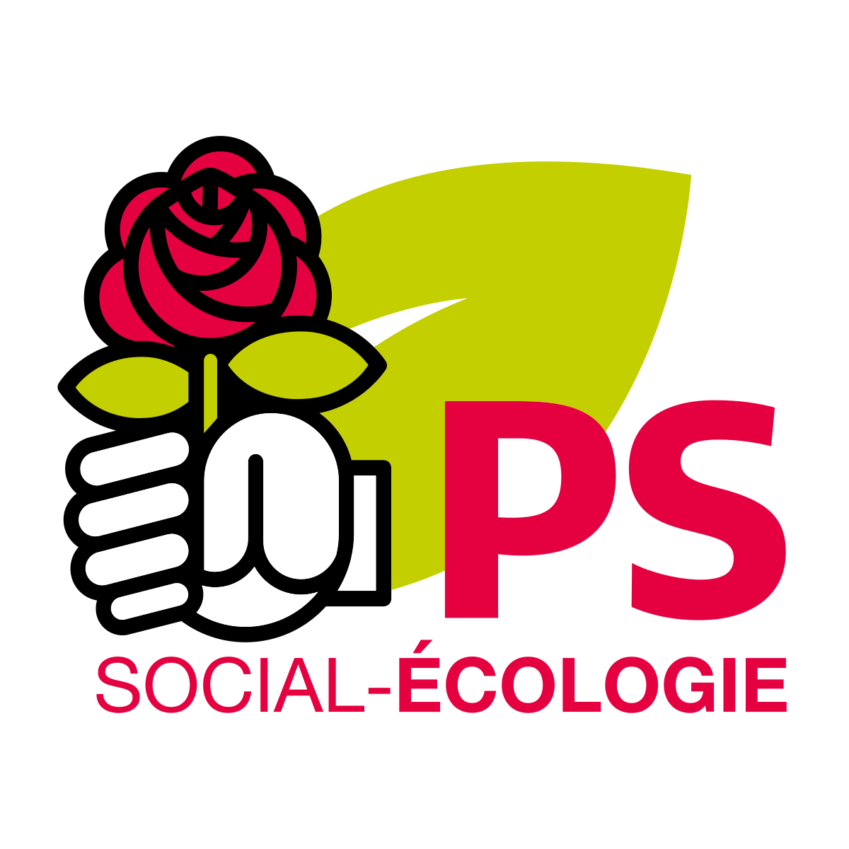 Ps Union Gmbh Ford Autohaus Stegemann