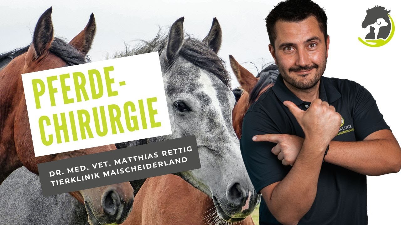 Facharzt Für Chirurgie In Der Nähe PFERDE-CHIRURGIE in der Tierklinik Maischeiderland - YouTube