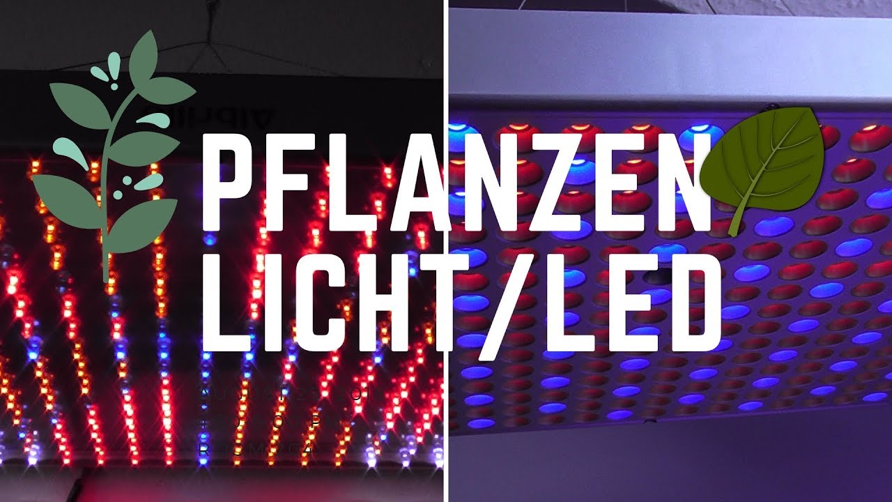 Anwalt Für Arbeitsrecht - Die Kündigungsschutzkanzlei