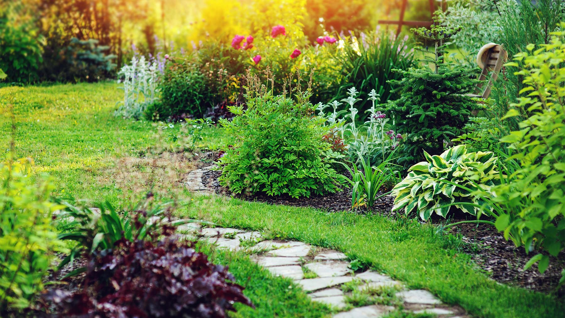 Pflanzen Richter Kg Lange Wand Bünde Pflanzungen f. Garten | Gartengestaltung Mahrer | Wien & Altlengbach