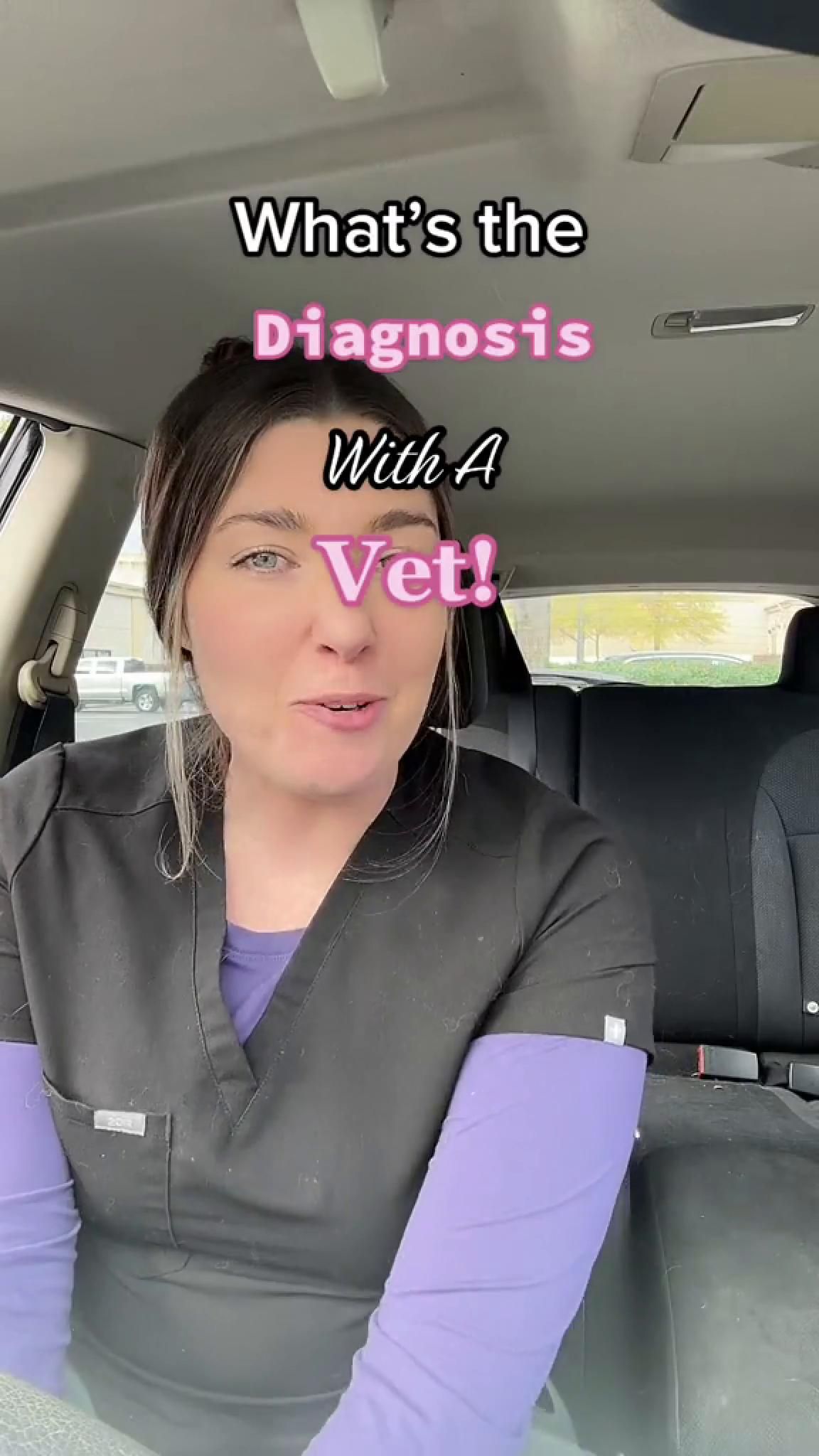 Kleintierpraxis Dipl. Med. Vet. Carla Baldauf