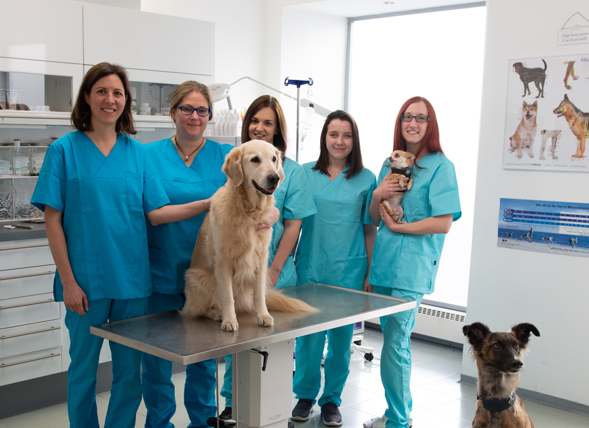 Tierarztpraxis Heidingsfeld Dennis Hahn Vormals Tierklinik Dr Schneidemann PRAXIS I Tierarztpraxis in Baden bei Wien, Niederösterreich