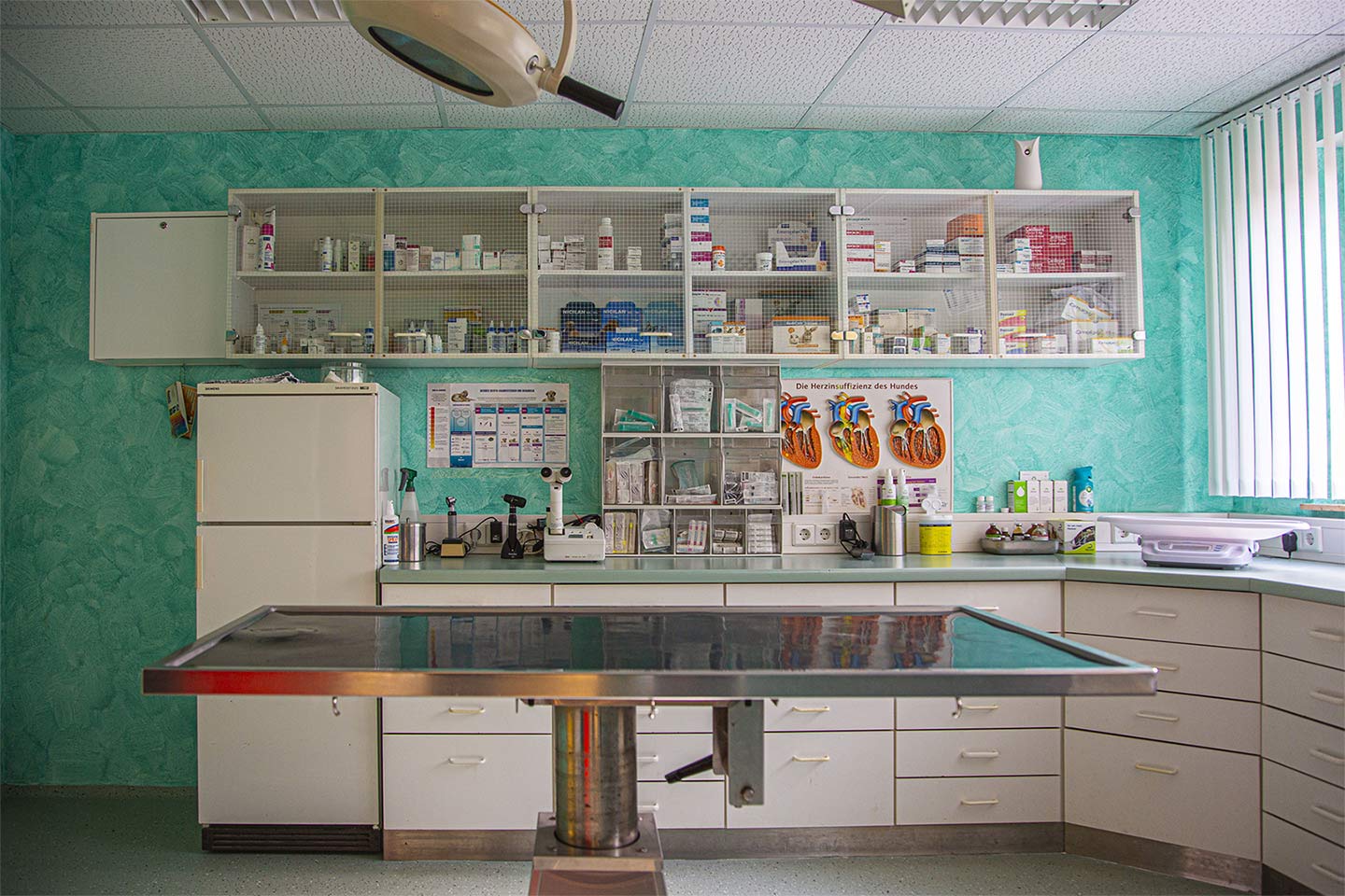 Tierarztpraxis Dr. Med. Vet. Ulrich Jakob Fischer Praxis – Tierarztpraxis Dr. Ulrich Steinmetz