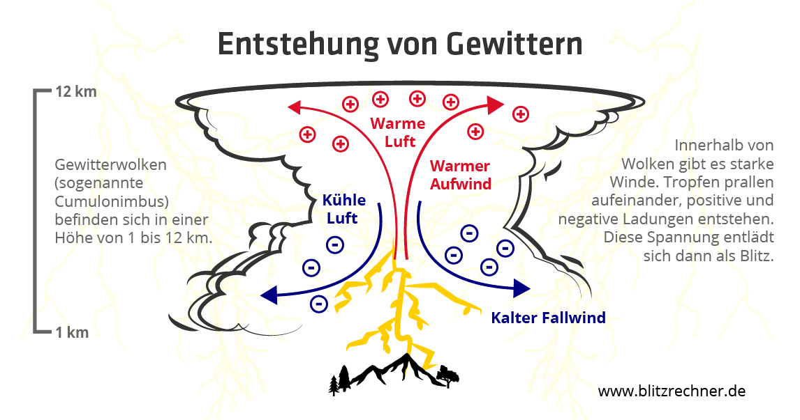 Wie Alt Wird Eine Tanne