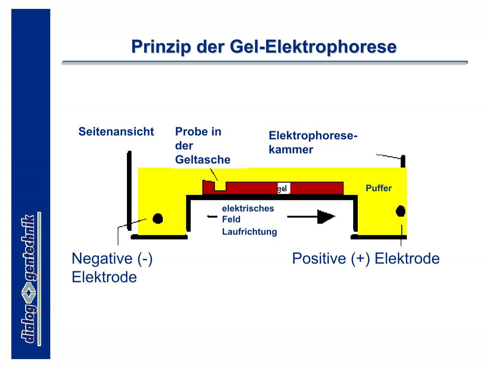 Pediküre Mit Gel In Der Nähe