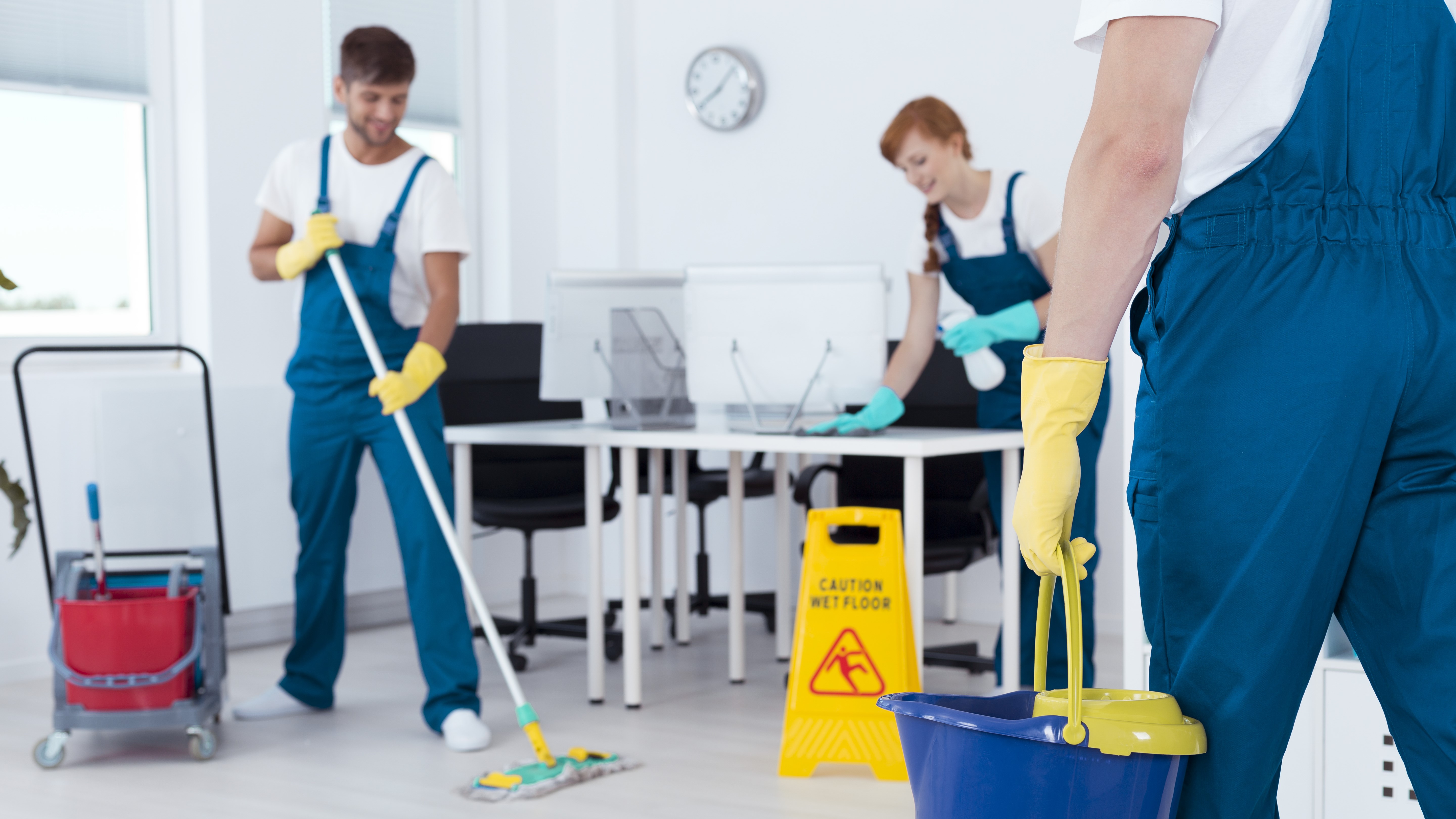 Reinigung In Der Nähe Jetzt Geöffnet Professionelle Reinigung & Hygiene - FCIO Website
