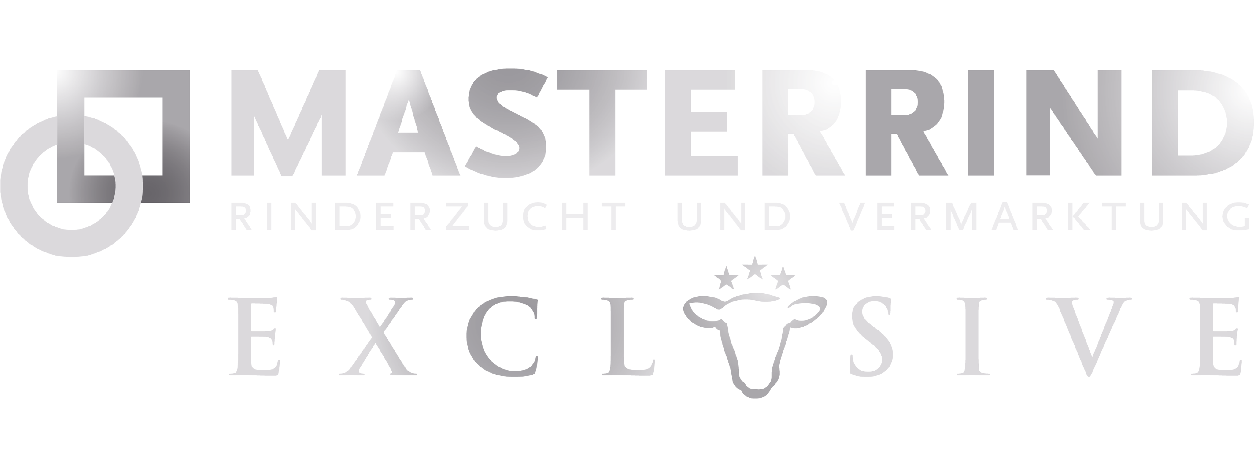 Sanitätshaus Werner Sieksmeier Orthopädische Werkstätten Gmbh
