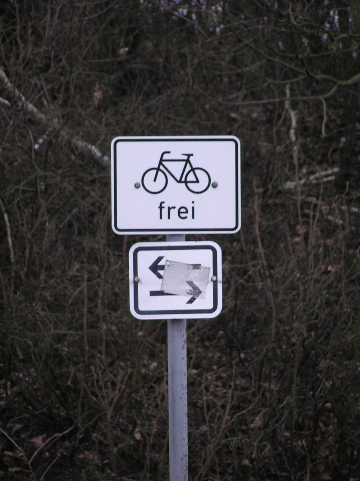 Frei Von Der Leber Weg Quero aprender alemão - Deutsch als Fremdsprache: Ich bin frei