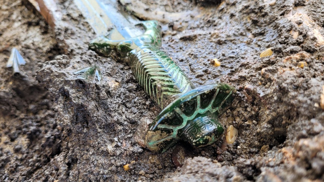 Landesamt Für Soziale Dienste Heide Rare Bronze Age sword found in German burial site is still shiny | CNN