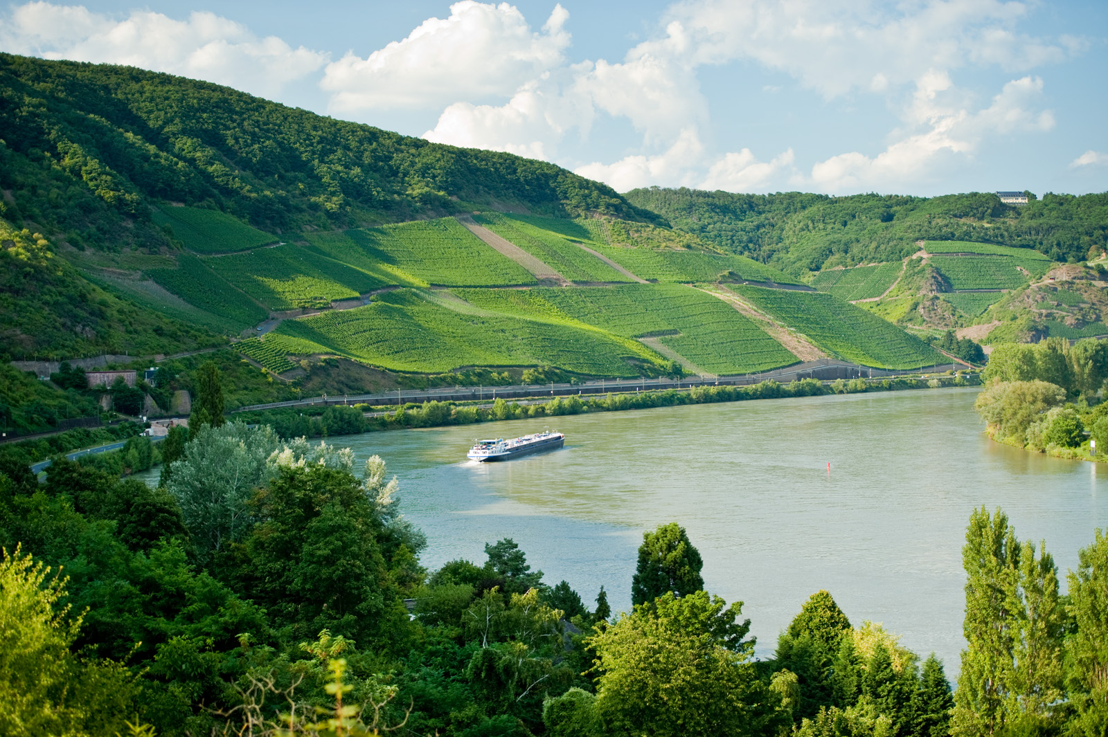 Rhein Main Jugendherberge Mainz Otto Brunfels Schneise Mainz Romantischer Rhein Reiseführer & Reisetipps | Outdooractive