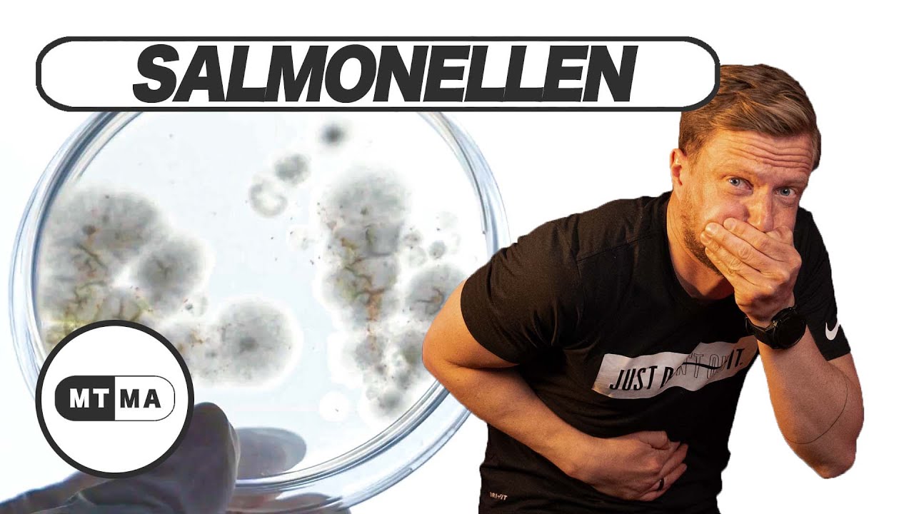 Wie Lange überleben Salmonellen Auf Oberflächen Salmonellen: die Gefahr durch Ärzte erklärt! - YouTube