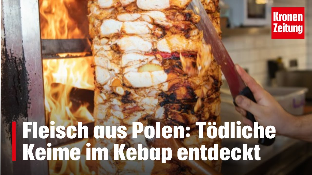 Wie Lange überleben Salmonellen Auf Oberflächen Salmonellen im Kebap-Fleisch entdeckt | krone.tv NEWS - YouTube