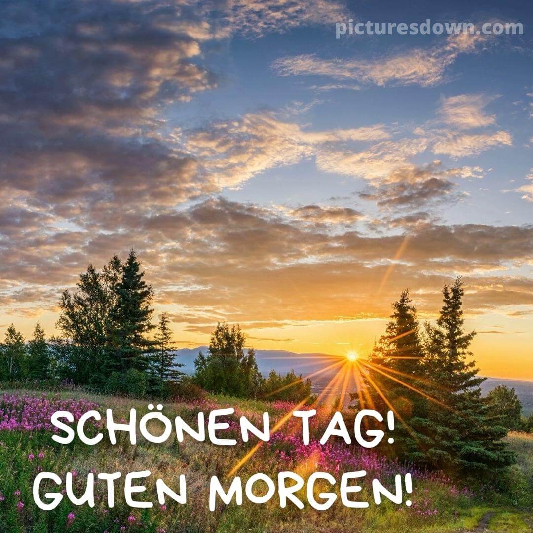 Morgen Oder Morgen Groß Oder Klein Schönen guten morgen bild Landschaft - picturesdown.com