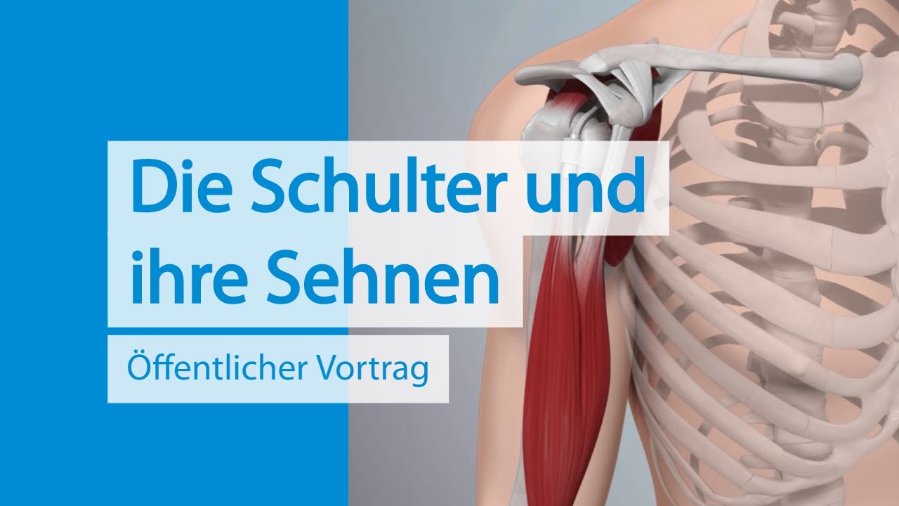 Orthopäde Für Schulter In Der Nähe