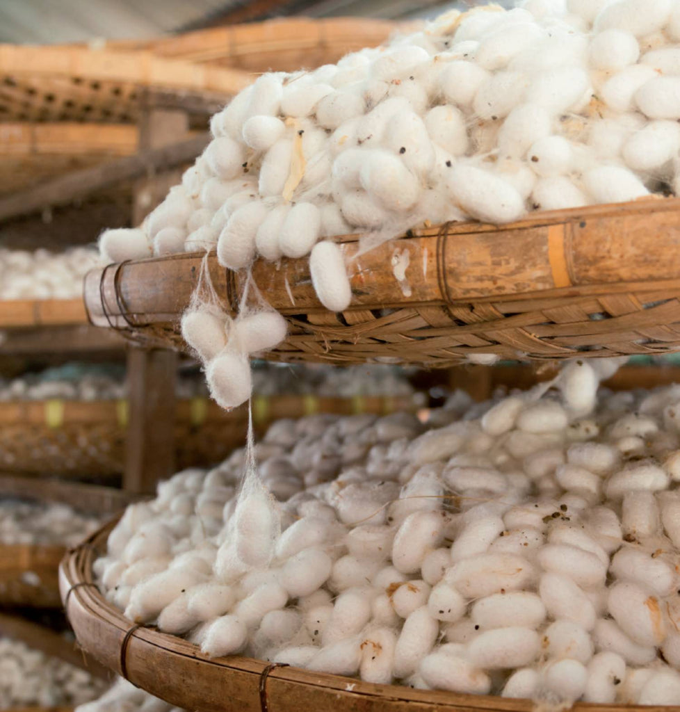 Seide Wax & Kosmetik In Mannheim SEIDE: DIE KÖNIGIN DER NATURFASER – DARIO'S
