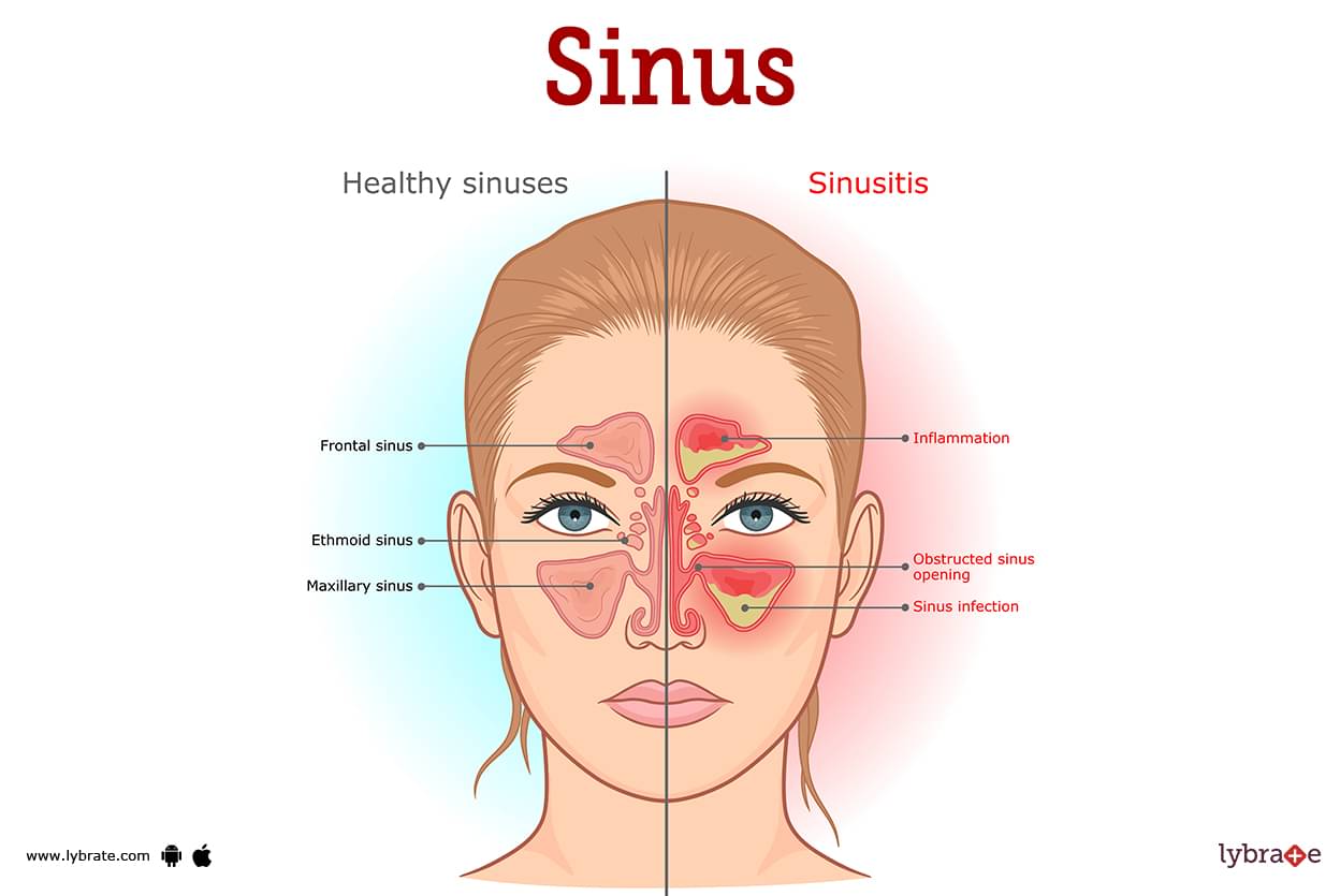 Sinus Und Kosinus Im Einheitskreis
