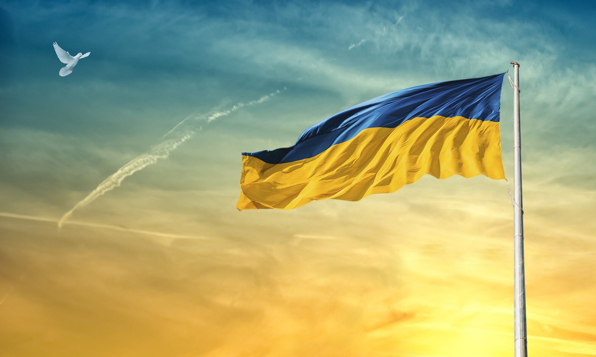 Akademie Für Kirche Und Diakonie Spendeninformationen - Ukraine Hilfe Lippe Bielefeld