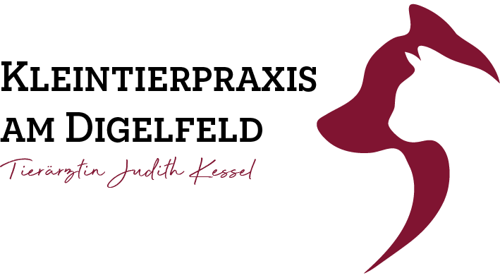 Kleintierpraxis In Junkersdorf - Larissa Michels Start — Kleintierpraxis am Digelfeld - Tierärztin Judith Kessel