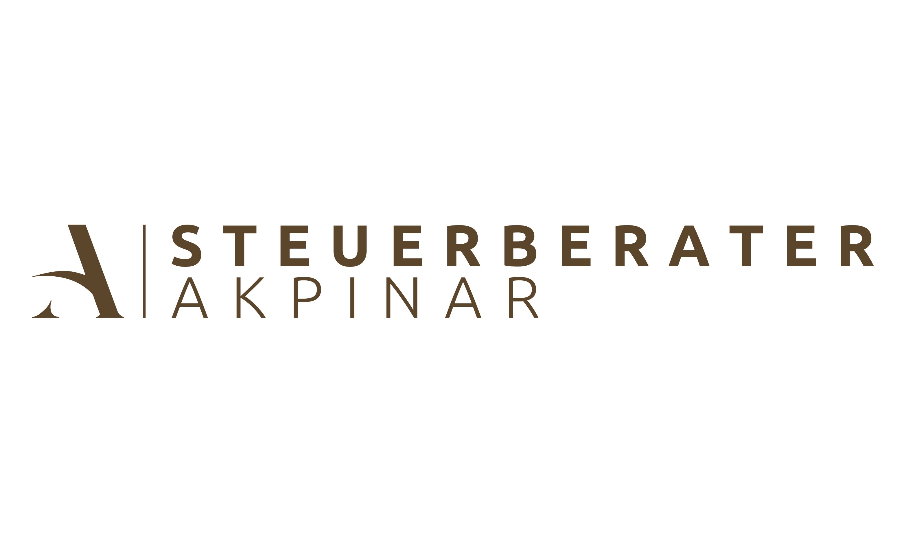 Klinkenberg & Kloubert Partgmbb Steuerberater Aachen steuerberater-akpinar.de Domain Owner Whois and Analysis