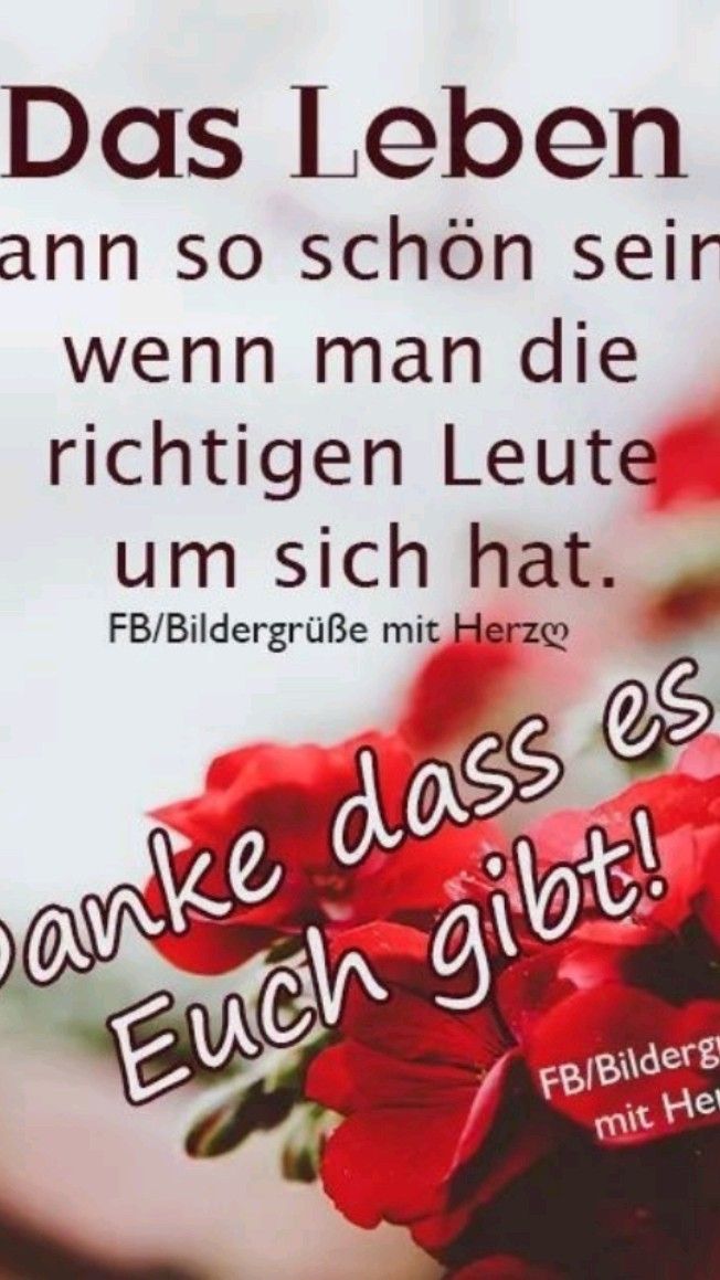 Seid Ihr Schon Zu Hause Story pin image