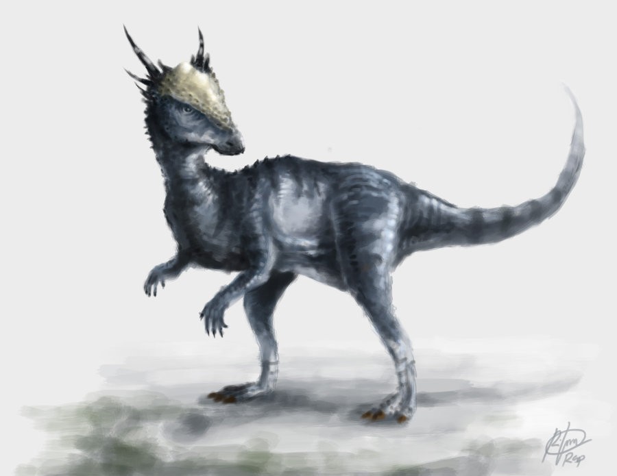 Museum Für Natur Und Umwelt Lübeck Stygimoloch Pictures & Facts - The Dinosaur Database
