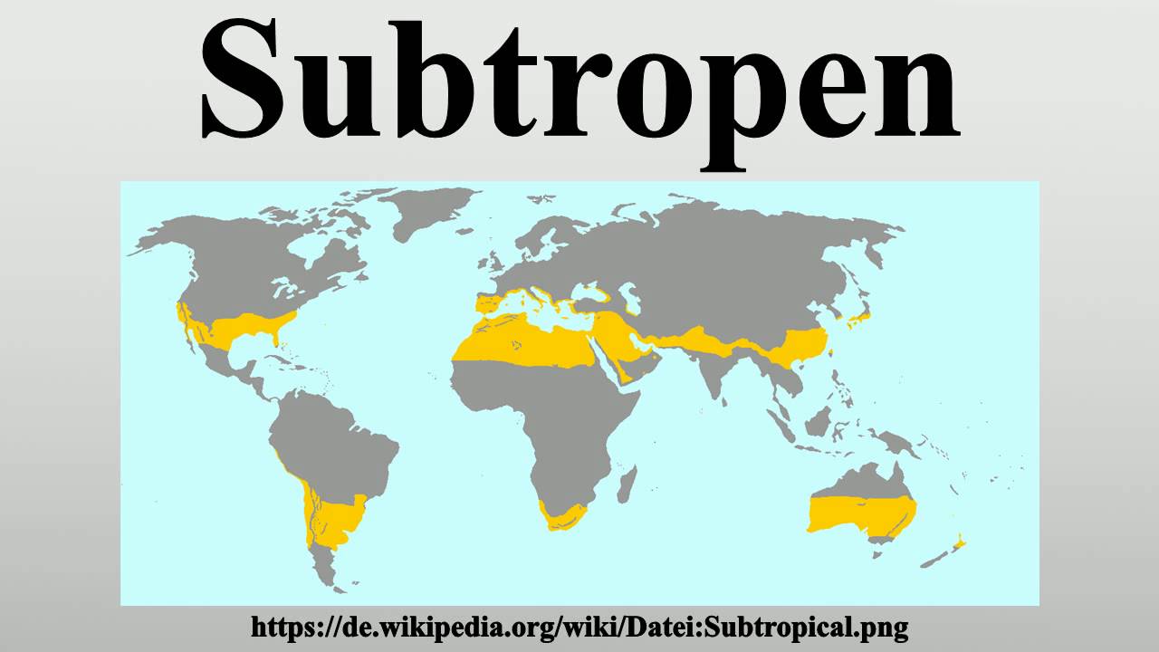 Vegetationsform Der Tropen Und Subtropen Subtropen - YouTube