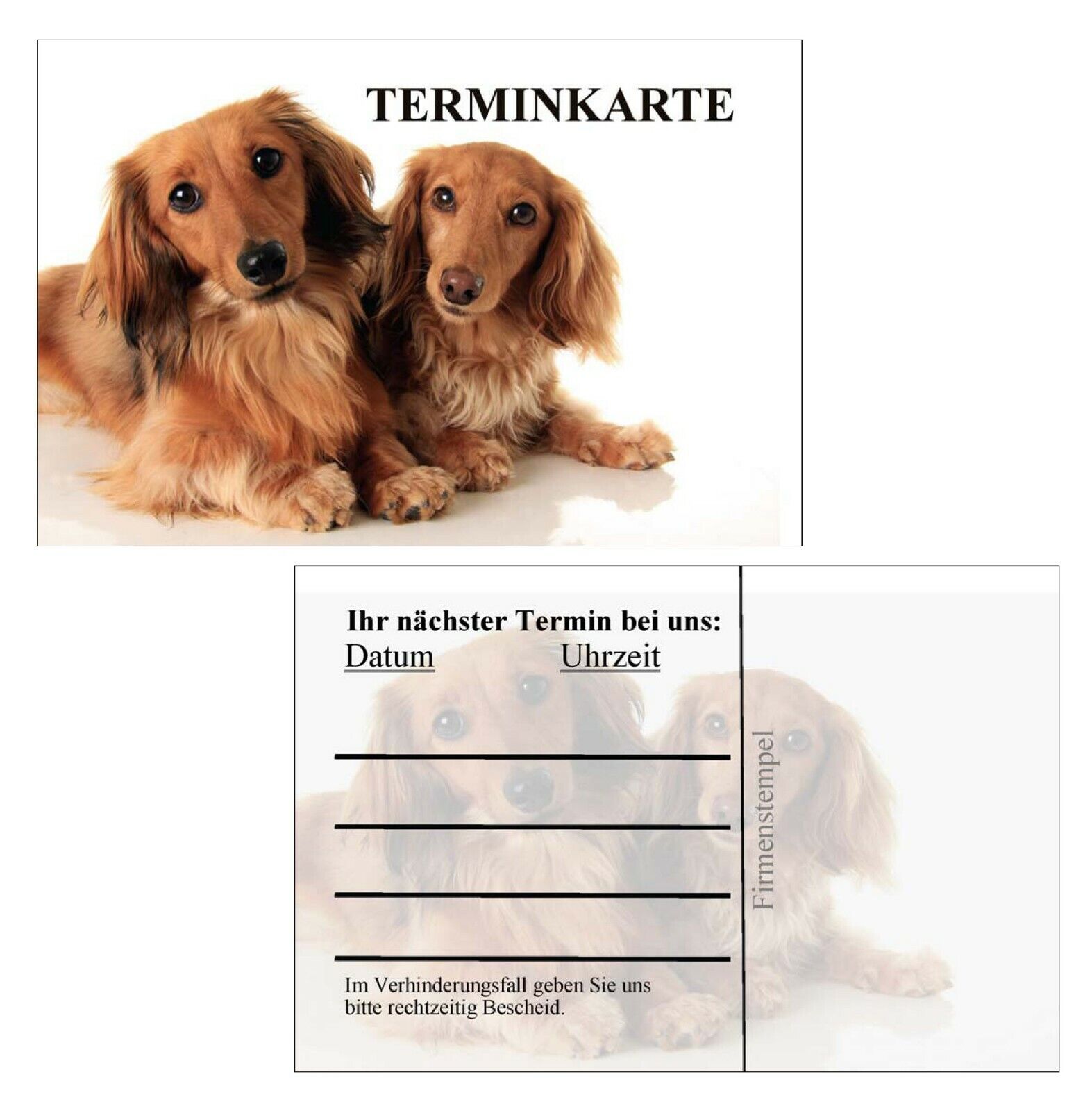 Tierarztpraxis Dr. Med. Vet. Karl-heinz Nowak Terminkarten Hundesalon Tierarzt Tierheilpraktiker Hundefriseur