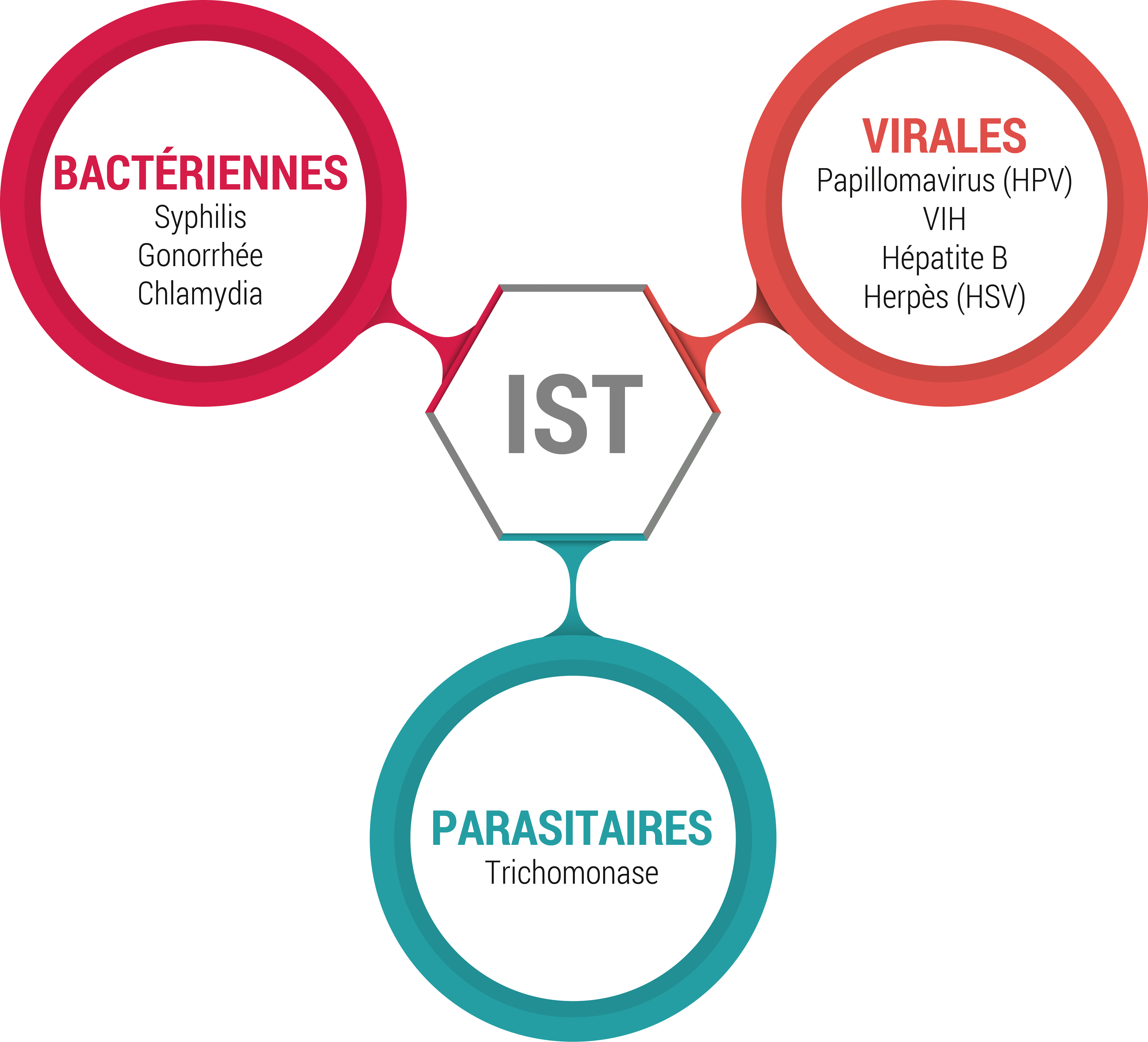 Ist Ein Aufenthaltstitel Ein Personalausweis Test Libre: Module 7 Libre : Les IST