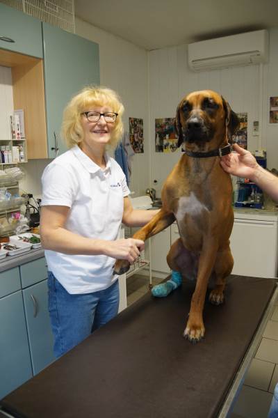 Kleintierpraxis Dipl. Med. Vet. Carla Baldauf Tierarzt - BALDAUF - Magdeburg