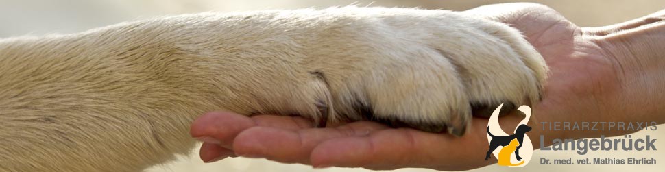 Welcher Tierarzt Hat Heute Notdienst Dresden tierarzt-dresden-behandlung › VetBlog - Neuigkeiten vom Tierarzt aus