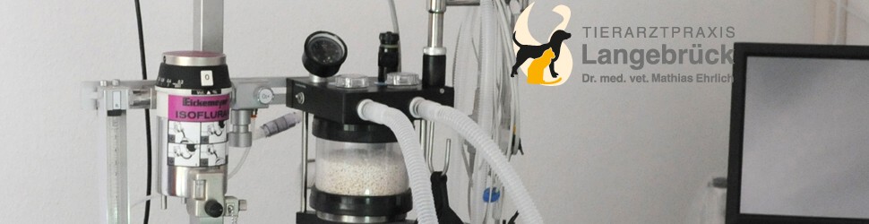 Welcher Tierarzt Hat Heute Notdienst Dresden tierarzt-dresden-diagnostik2 › VetBlog - Neuigkeiten vom Tierarzt aus
