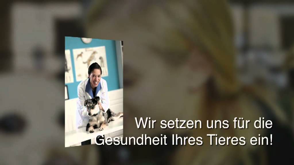 Vetpraxis Tierarztpraxis Für Kleintiere Prakt. Tierarzt Krzysztof Sliwinski Tierarzt für Heimtiere - Bergneustadt Dr. Werner Ising prakt. Tierarzt