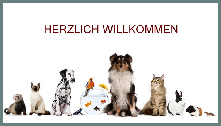 Tierarztpraxis Am Zoo Dr Sarah Und Dr Ulf Reichert Tierarztpraxis am Südkreuz
