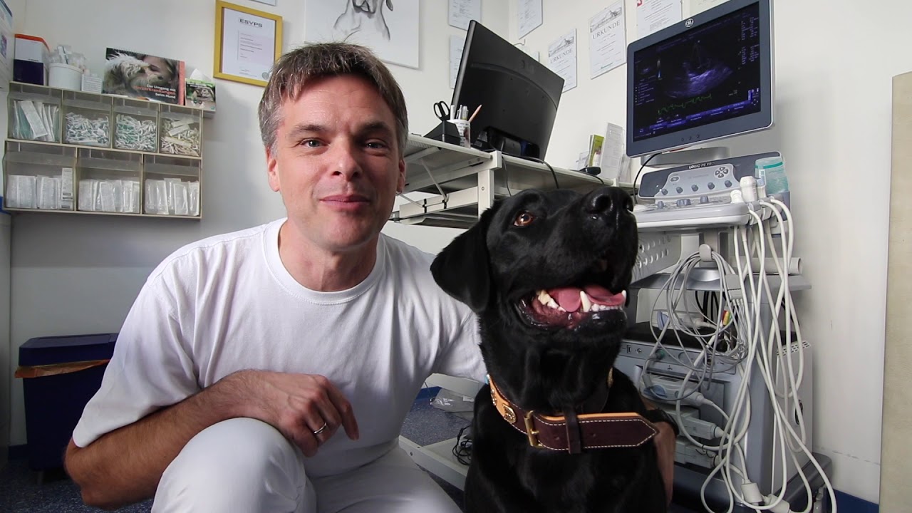 Anicura Kleintierzentrum Ludwigshafen - Dr. Inge Und Jens Freund