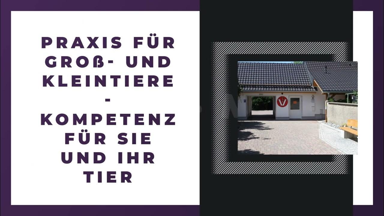 Kleintierpraxis - Dr. Med. Vet. Antje Schadt