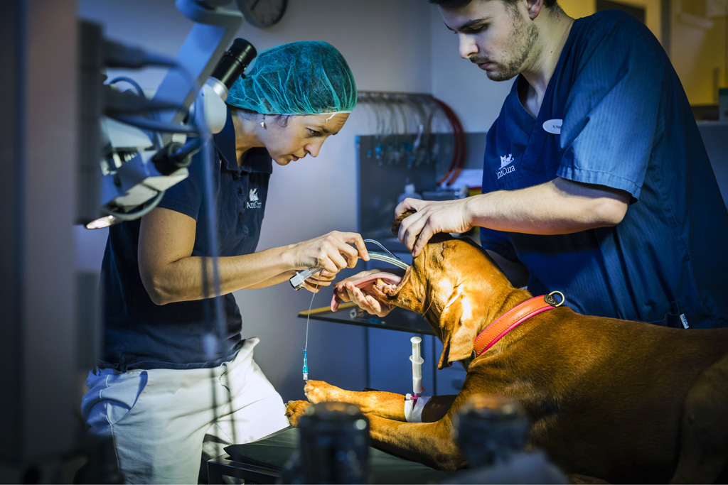 Rezensionen Für Anicura Tierklinik Stuttgart Plieningen Tierklinik Anicura | SPIEGEL - Lars Berg - PHOTOGRAPHY