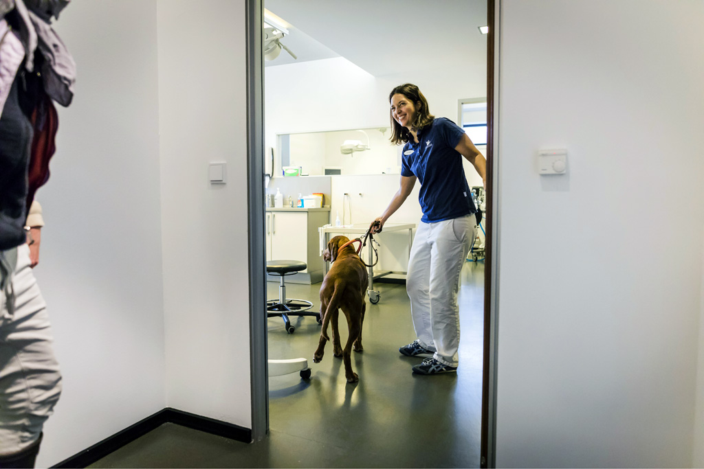 Rezensionen Für Anicura Tierklinik Stuttgart Plieningen Tierklinik Anicura | SPIEGEL - Lars Berg - PHOTOGRAPHY