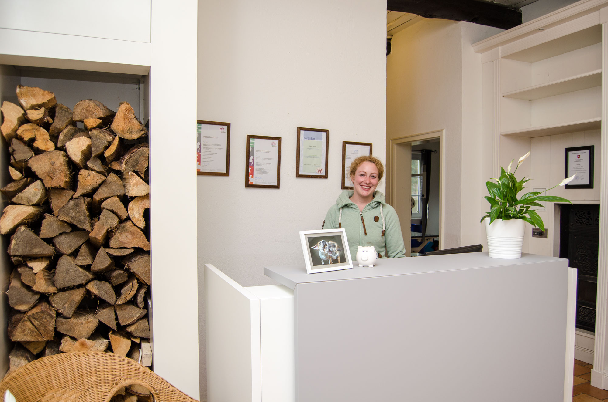 Tierfriseur Für Katzen In Der Nähe Tierphysiotherapie / Tierfriseur für Hunde und Katzen | Hodenhagen