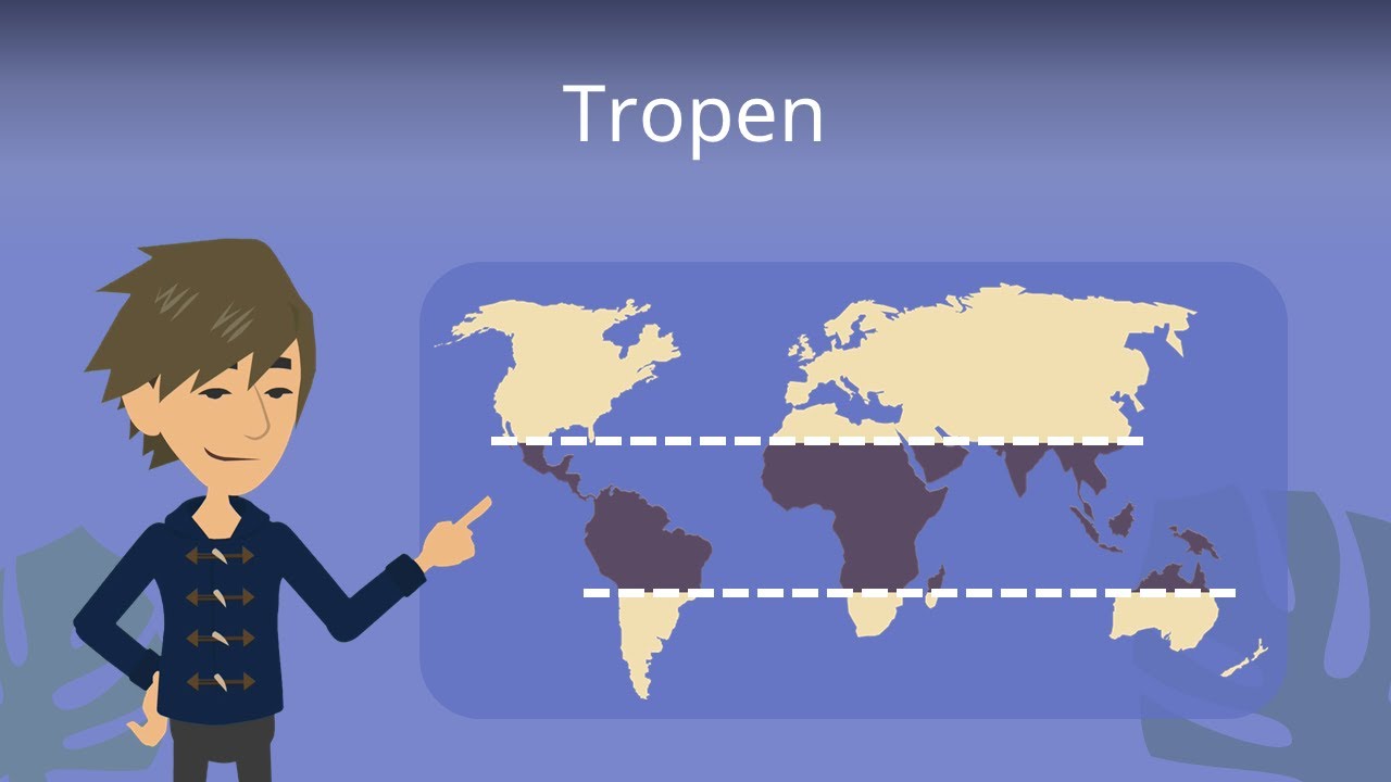 Vegetationsform Der Tropen Und Subtropen