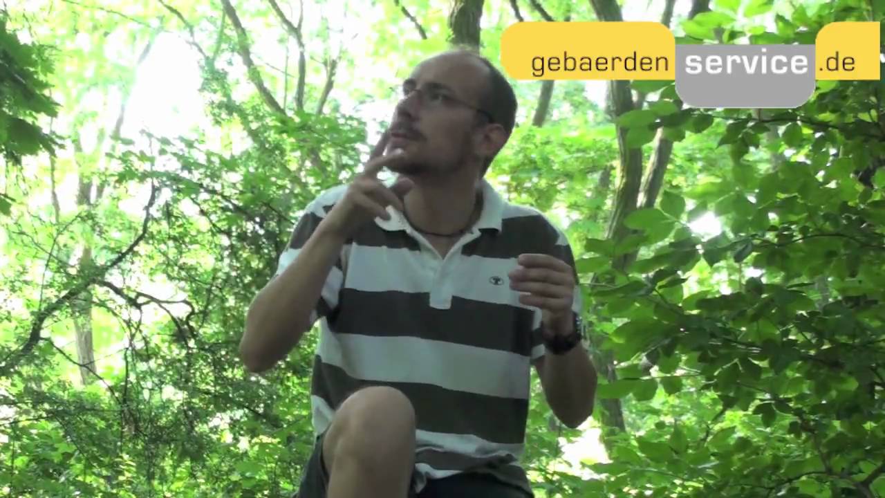 Orthopädie Tuttlingen - Dr. Steffen Thiede Und Harry Eibl Tür zur Vergangenheit mit Steffen Thiede - YouTube