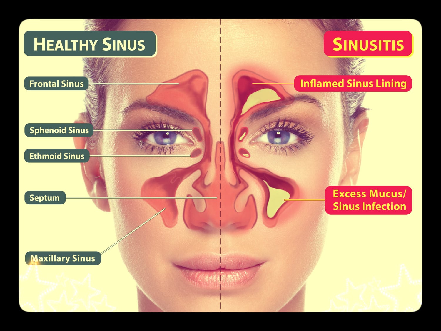 Sinus Und Kosinus Im Einheitskreis Understanding Sinus - Health Holistic